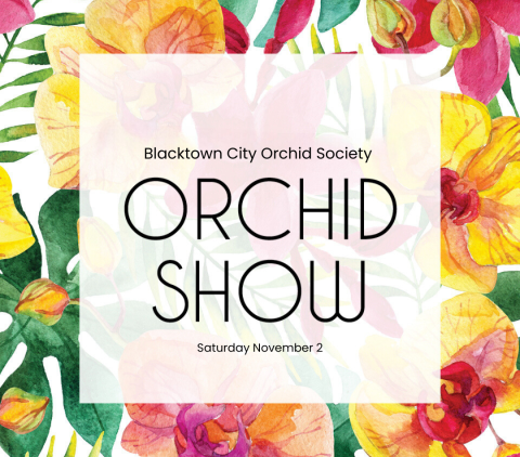 Orchid Show